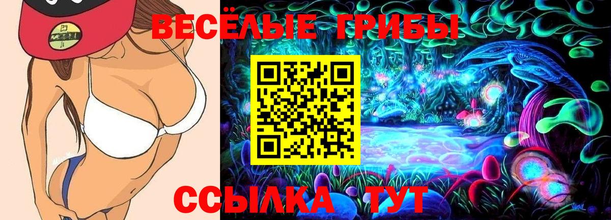 Псилоцибиновые грибы Cubensis Гудермес